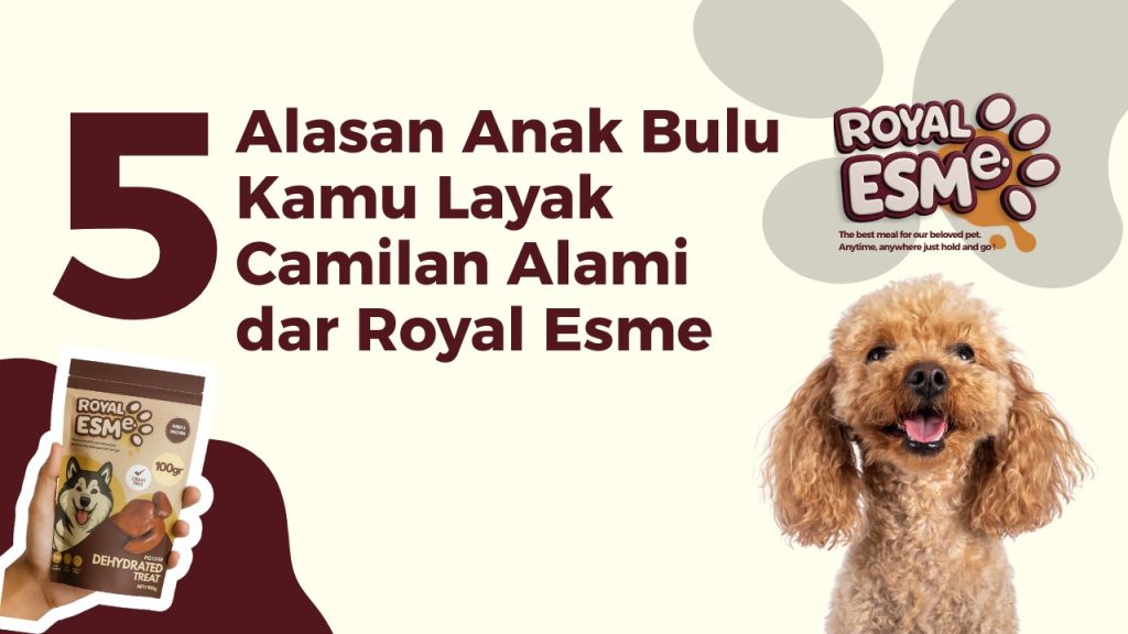 Snack Anabul Sehat