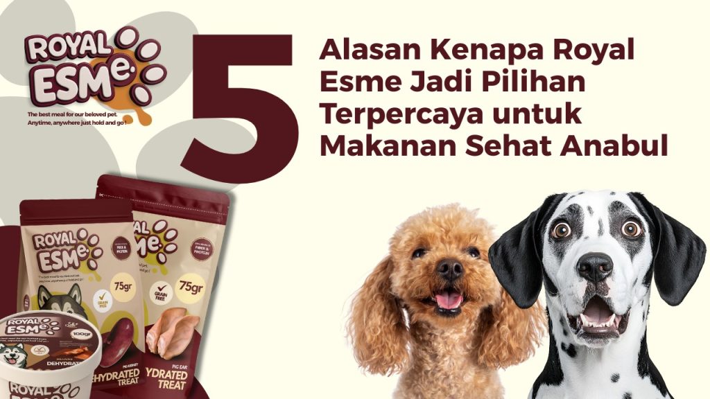 Sncak Anjing
